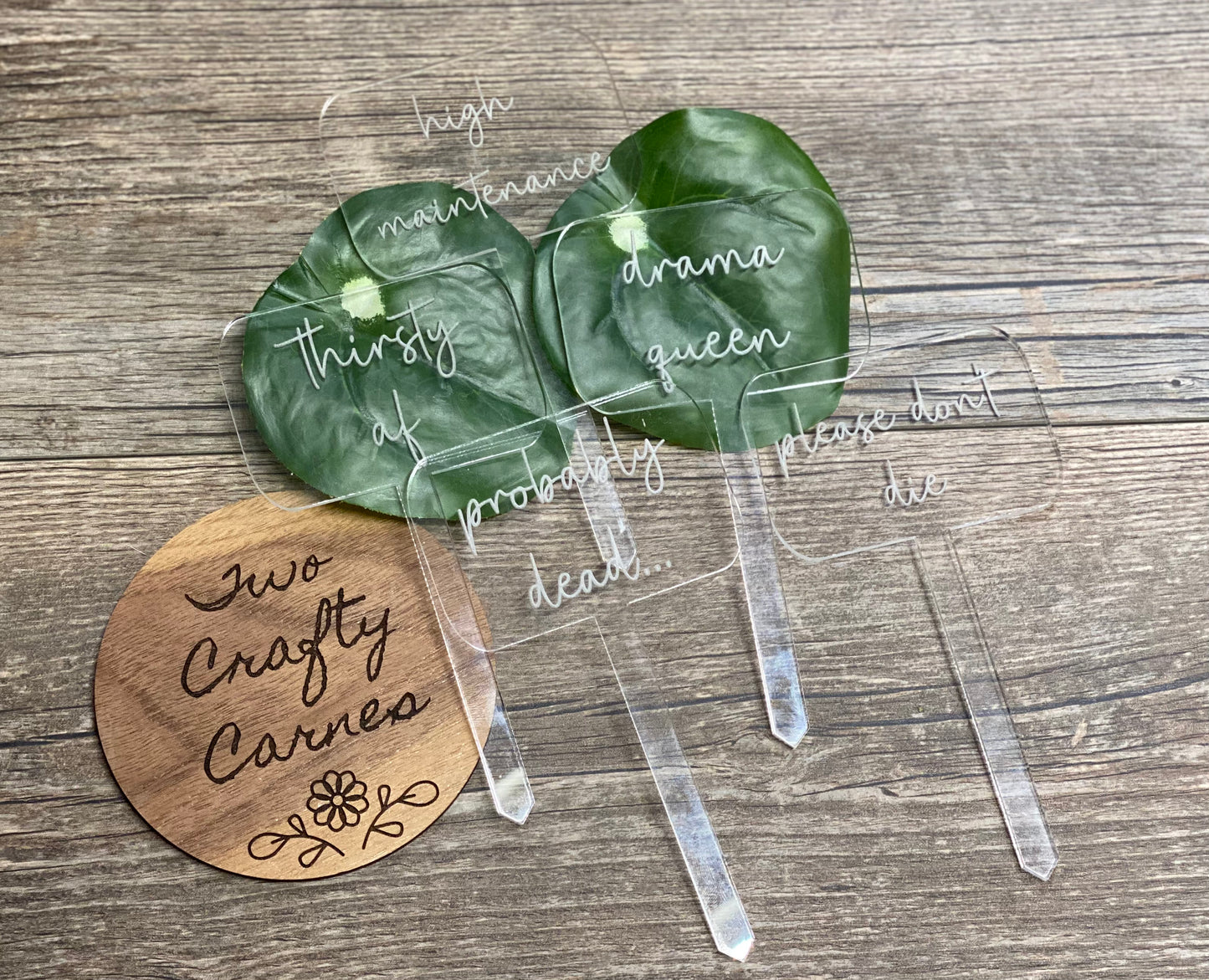 Acrylic Plant Stakes